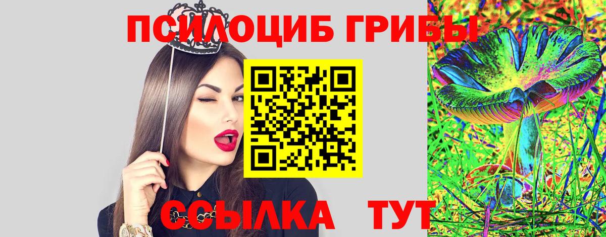 Псилоцибиновые грибы Cubensis Кстово