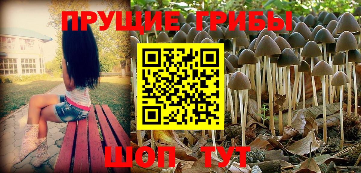 Кстово  Галлюциногенные грибы Cubensis  Галлюциногенные грибы Magic Shrooms  Вход с VPN 
